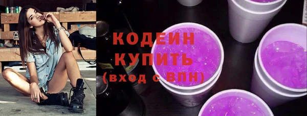 ГАЛЛЮЦИНОГЕННЫЕ ГРИБЫ Арсеньев