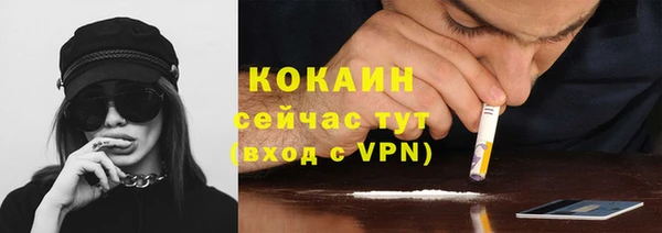 ГАЛЛЮЦИНОГЕННЫЕ ГРИБЫ Арсеньев