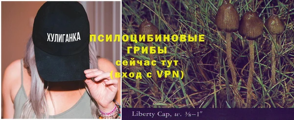 меф Балахна
