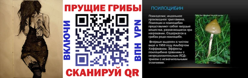 Галлюциногенные грибы мицелий  OMG ССЫЛКА  Коломна 